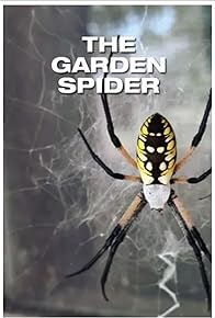 Primary photo for The Garden Spider