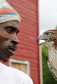 Primary photo for The Falconer