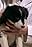 Nellie's primary photo