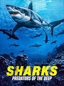 Poster of Sharks: Predators of the Deep