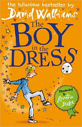The Boy in the Dress book cover