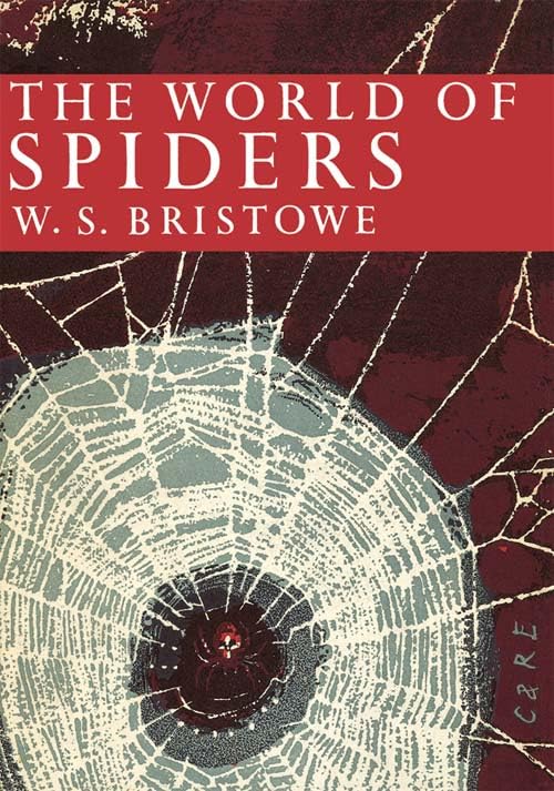 The World Of Spiders