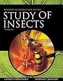 Introduction to the Study of Insects