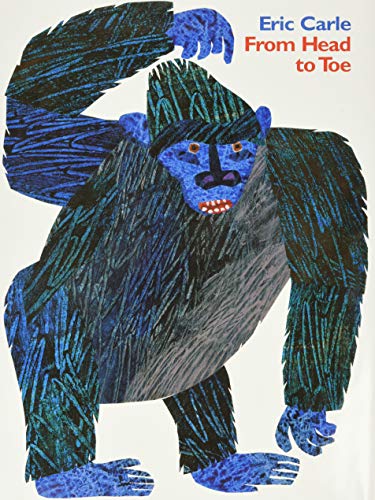 From Head to Toe Padded Board Book book cover