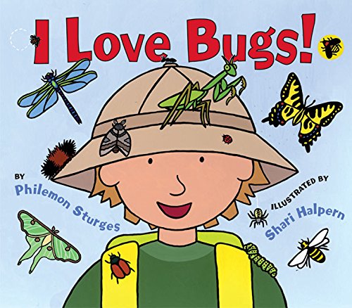 I Love Bugs! book cover
