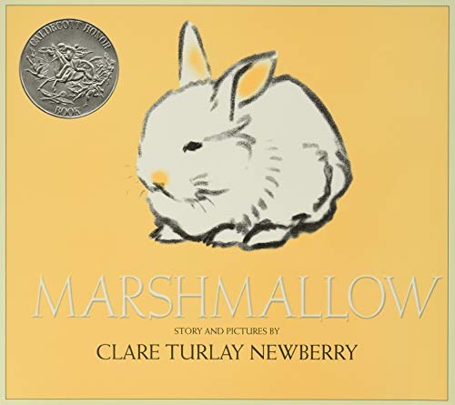 Marshmallow book cover