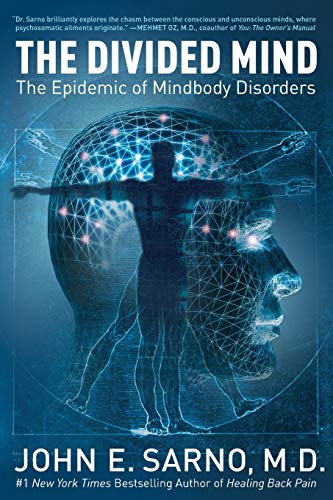 The Divided Mind