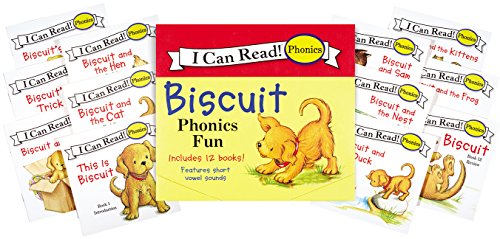 Biscuit Phonics Fun book cover