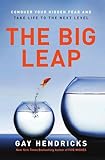The Big Leap book cover