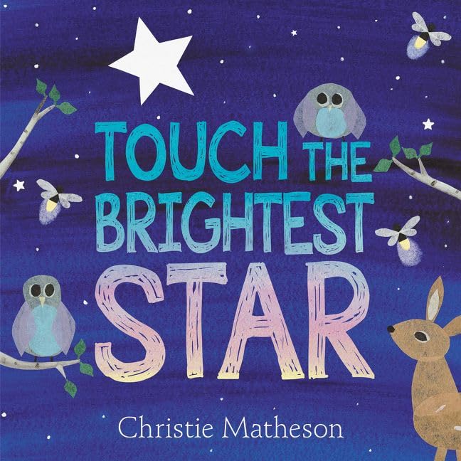 Touch the Brightest Star book cover