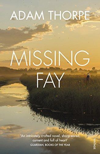 Missing Fay book cover