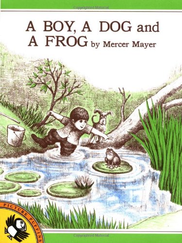 A Boy, a Dog, and a Frog book cover