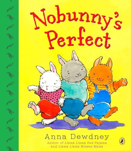 Nobunny's Perfect book cover