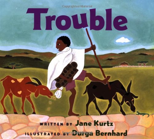Trouble book cover