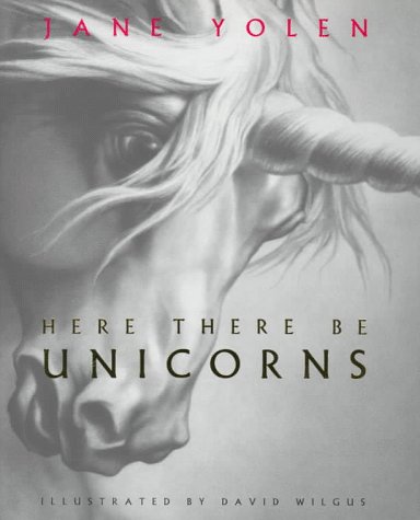 Here There Be Unicorns book cover
