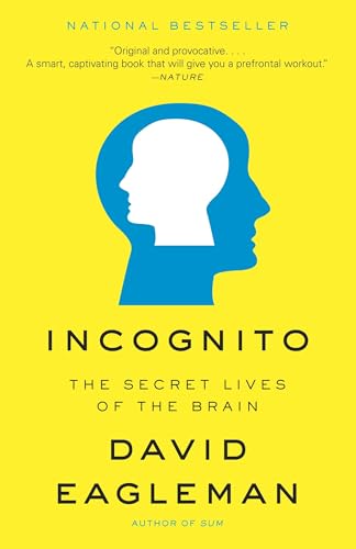 Incognito book cover