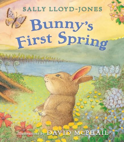 Bunny's First Spring book cover