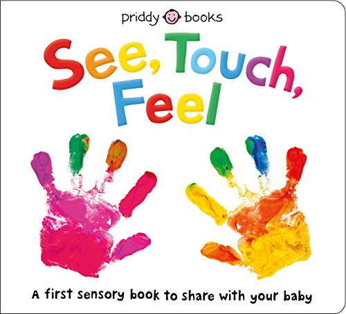 See, Touch, Feel: A First Sensory Book book cover