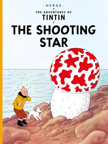The Shooting Star book cover