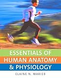 Essentials Of Human Anatomy Physiology