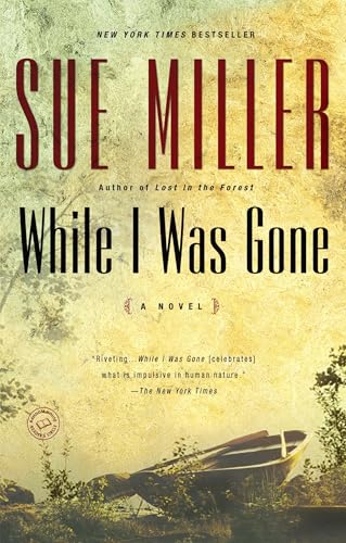 While I Was Gone book cover