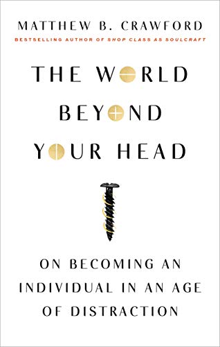 The World Beyond Your Head