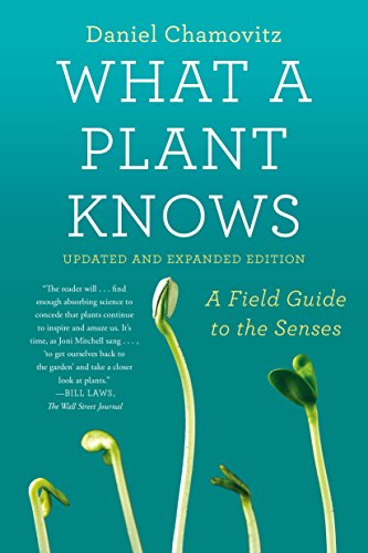 What a Plant Knows: A Field Guide to the Senses: Revised Edition book cover