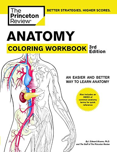 Anatomy Coloring Workbook: An Easier and Better Way to Learn Anatomy book cover