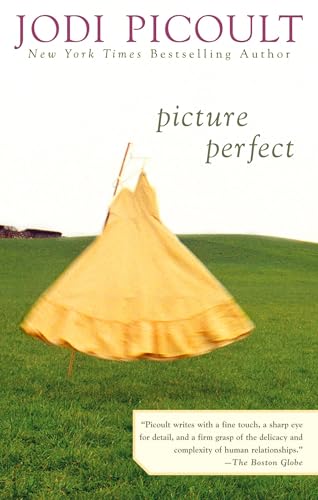 Read Picture Perfect