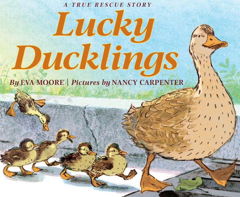 Lucky Ducklings book cover