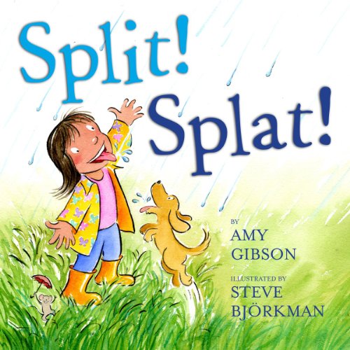 Split! Splat! book cover