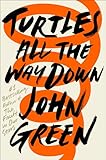 Turtles All the Way Down book cover