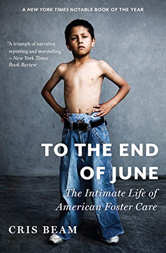 To the End of June: The Intimate Life of American Foster Care book cover