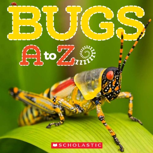 Bugs A to Z book cover