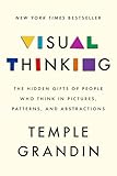 Visual Thinking