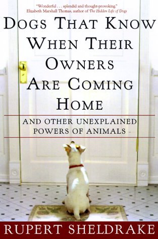 Dogs That Know When Their Owners are Coming Home