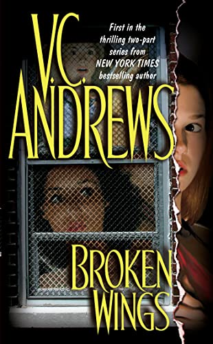 Broken Wings (Broken Wings, #1)