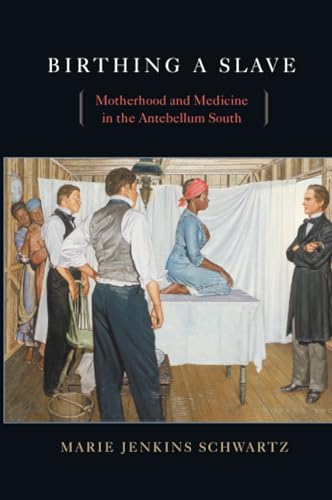 Birthing a Slave: Motherhood and Medicine in the Antebellum South book cover