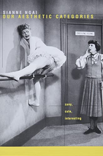 Our Aesthetic Categories: Zany, Cute, Interesting book cover