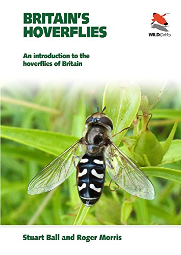 Britain's Hoverflies: An Introduction to the Hoverflies of Britain book cover