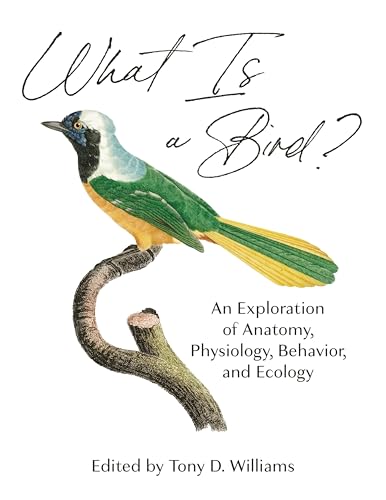 What Is a Bird?