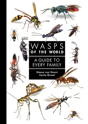 Wasps of the World: A Guide to Every Family