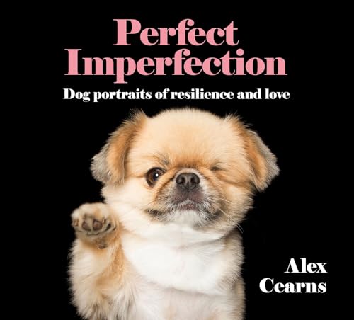 Perfect Imperfections book cover