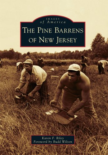 The The Pine Barrens of New Jersey (Images of America: New Jersey) book cover