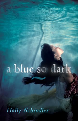 A Blue So Dark book cover