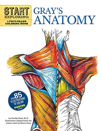 Start Exploring: Gray's Anatomy: A Fact-Filled Coloring Book book cover