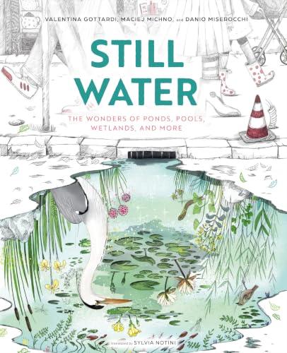 Still Water: The Wonders of Ponds, Pools, Wetlands, and More (Spectacular STEAM for Curious Readers (SSCR))