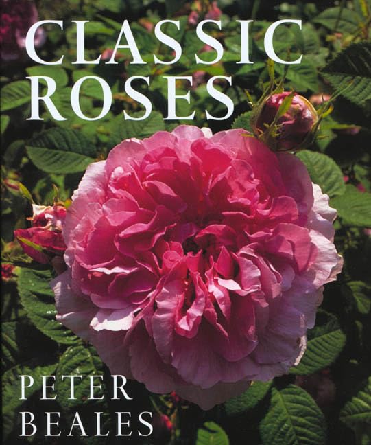 Classic Roses: The Revised And Expanded Edition book cover