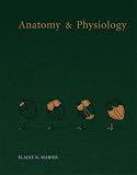 Anatomy Physiology