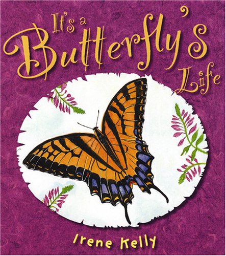 It's a Butterfly's Life book cover
